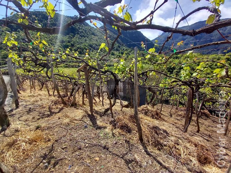 Terreno T3 para Venda 