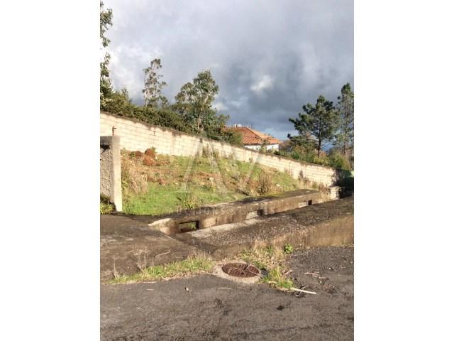 Negocios Outros para Venda Camacha, Achadinha