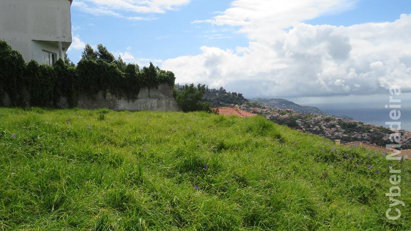 Terreno T0 para Venda São Roque, Centro
