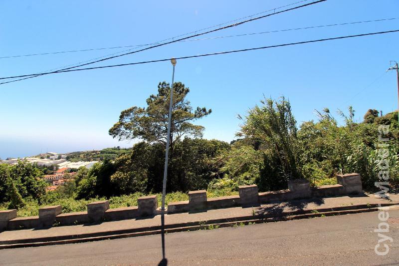 Terreno T3 para Venda Caniço, Eiras