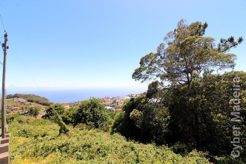 Terreno T3 para Venda Caniço, Eiras