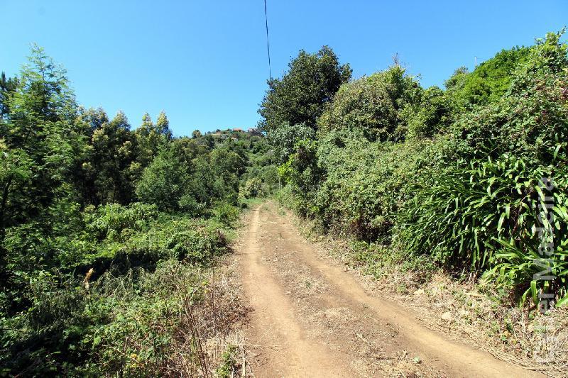 Terreno T3 para Venda Caniço, Eiras