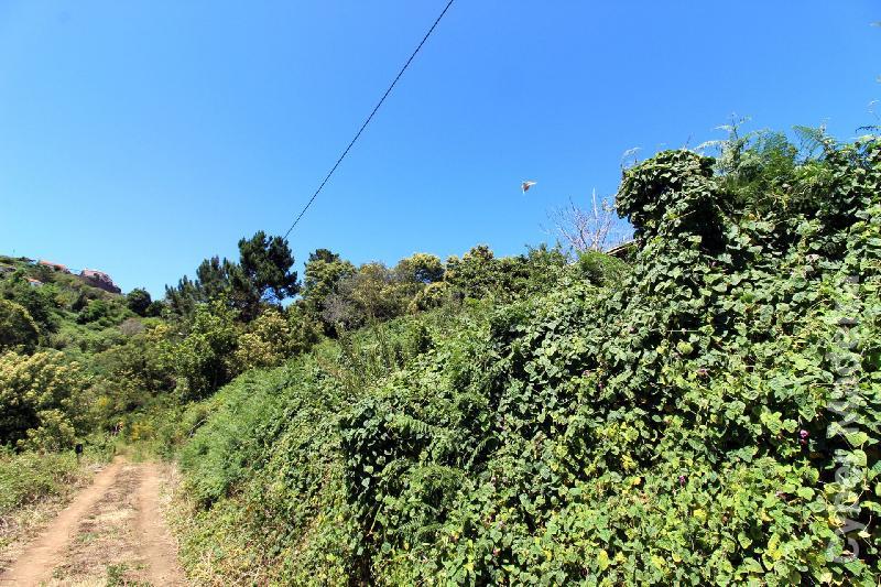 Terreno T3 para Venda Caniço, Eiras