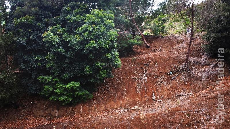 Terreno Outros para Venda Gaula, Achada de Cima