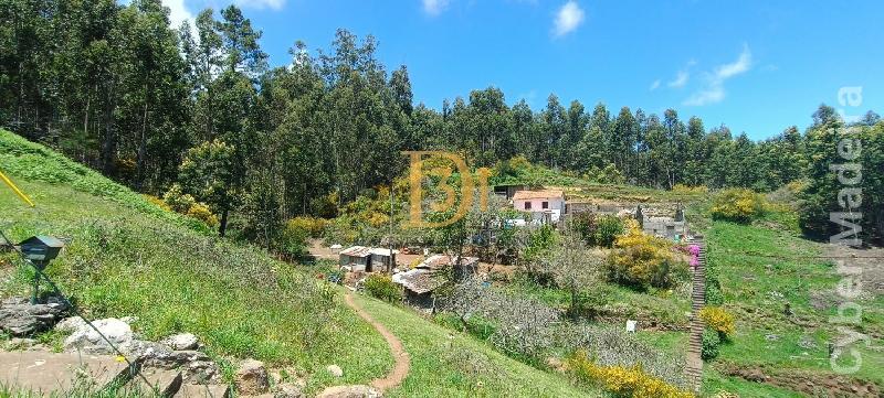 Terreno Outros para Venda Santa Cruz, Centro