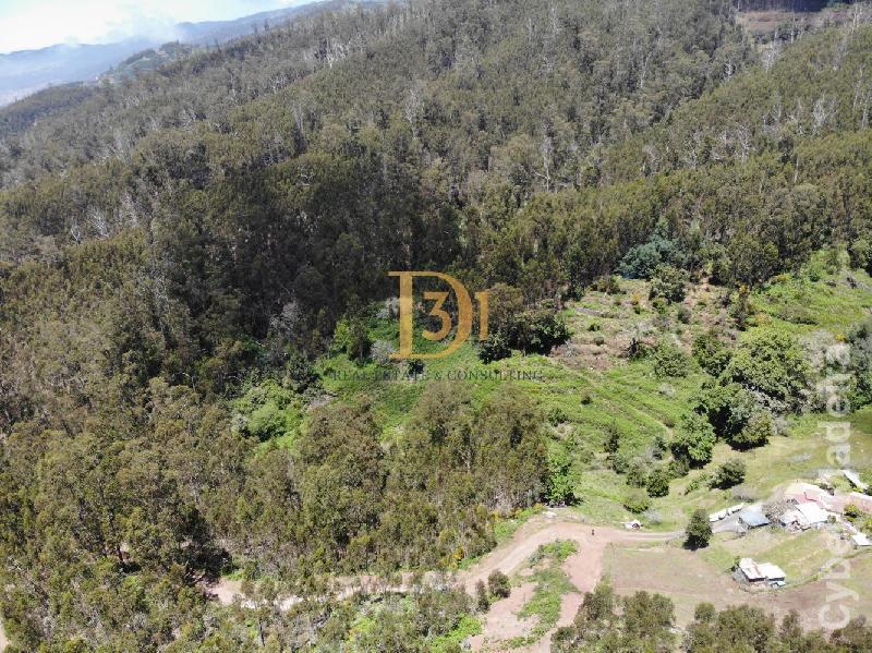 Terreno Outros para Venda Santa Cruz, Centro