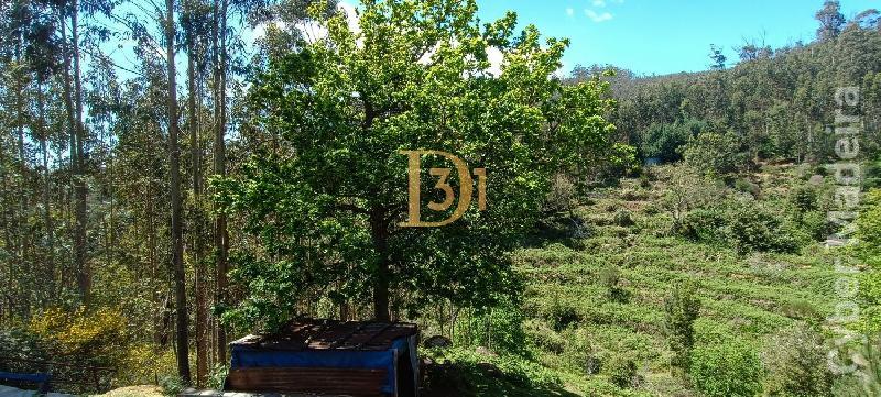 Terreno Outros para Venda Santa Cruz, Centro