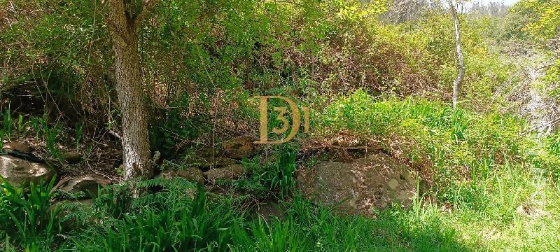 Terreno Outros para Venda Santa Cruz, Centro