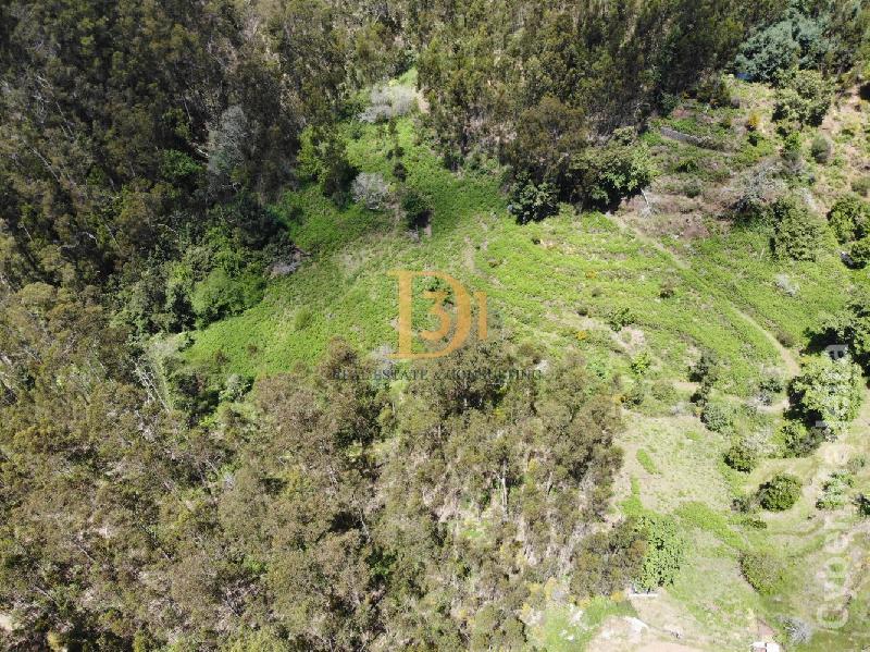 Terreno Outros para Venda Santa Cruz, Centro