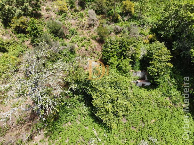 Terreno Outros para Venda Santa Cruz, Centro