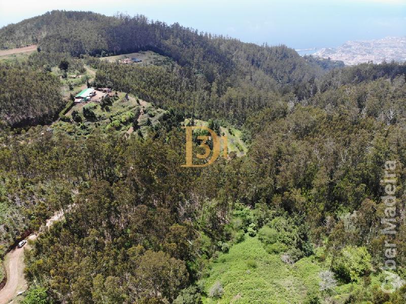 Terreno Outros para Venda Santa Cruz, Centro