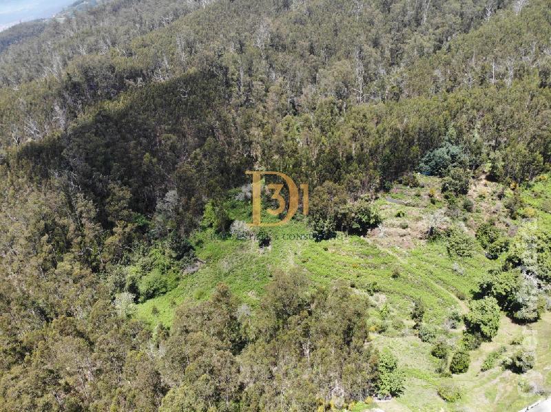 Terreno Outros para Venda Santa Cruz, Centro