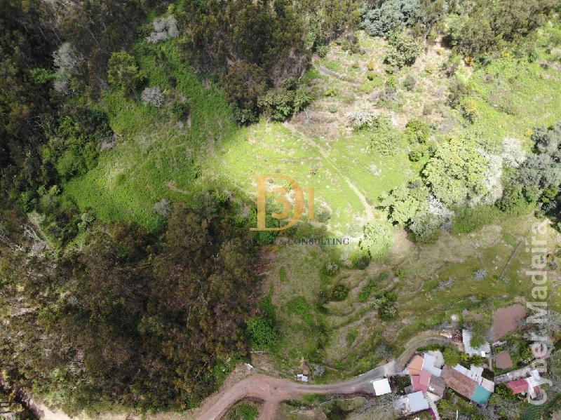 Terreno Outros para Venda Santa Cruz, Centro