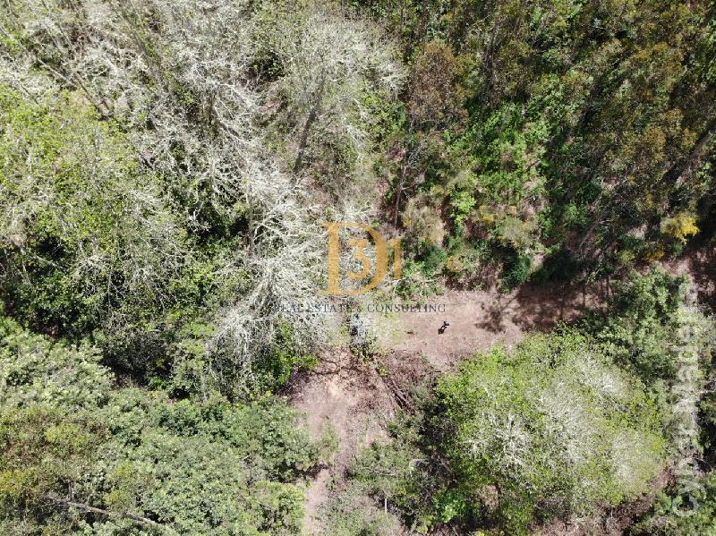 Terreno Outros para Venda Santa Cruz, Centro
