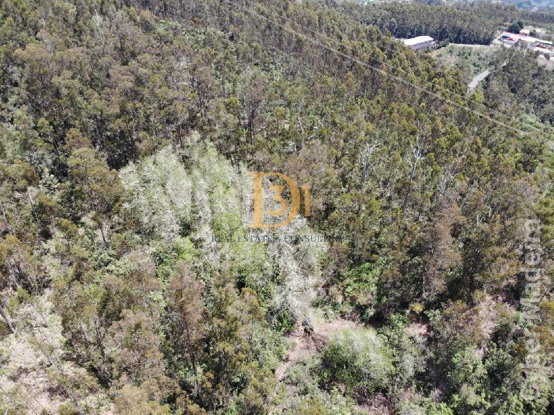 Terreno Outros para Venda Santa Cruz, Centro