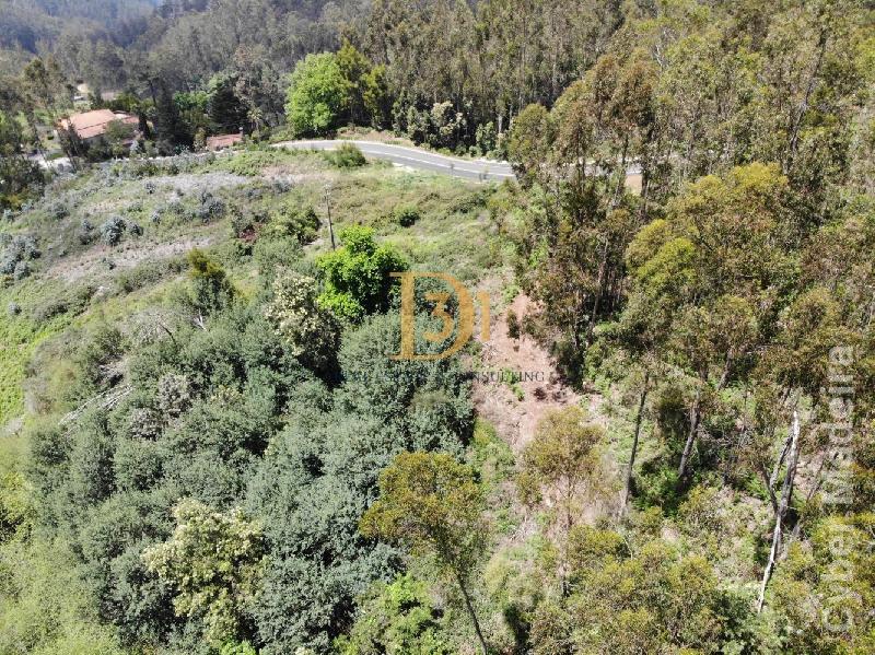 Terreno Outros para Venda Santa Cruz, Centro