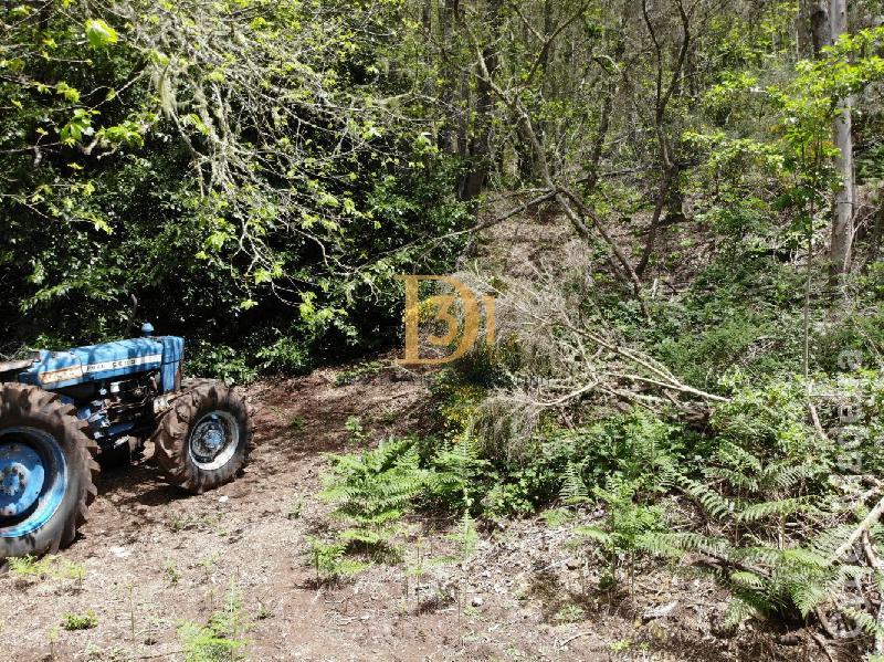 Terreno Outros para Venda Santa Cruz, Centro