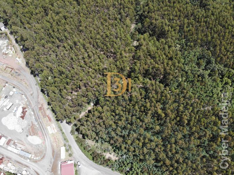 Terreno Outros para Venda Santa Cruz, Centro