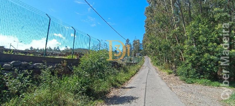 Terreno Outros para Venda Santa Cruz, Centro