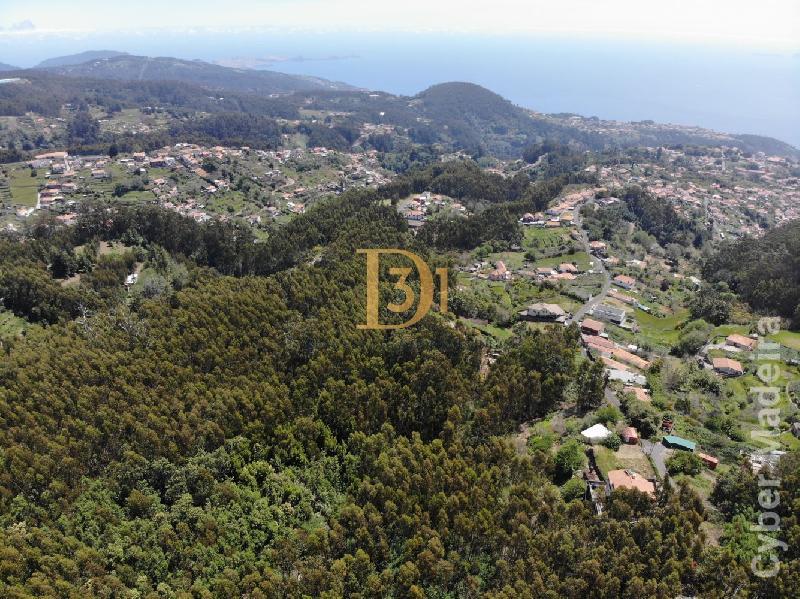 Terreno Outros para Venda Santa Cruz, Centro