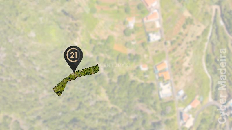 Terreno Outros para Venda Santa Cruz, Eira Nova