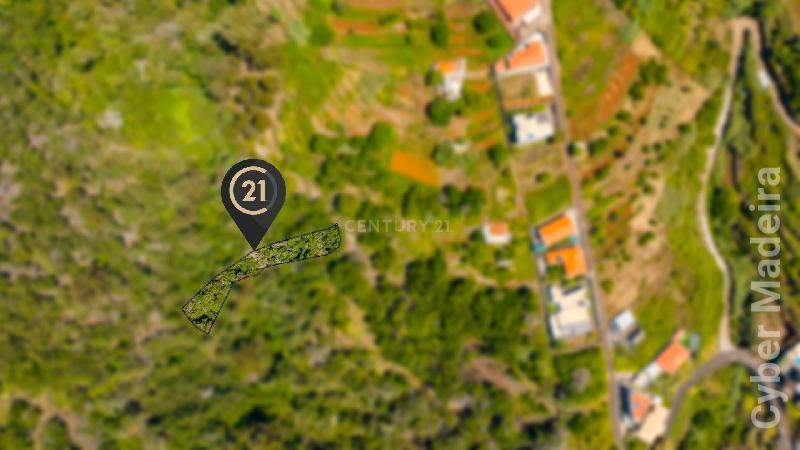 Terreno Outros para Venda Santa Cruz, Eira Nova