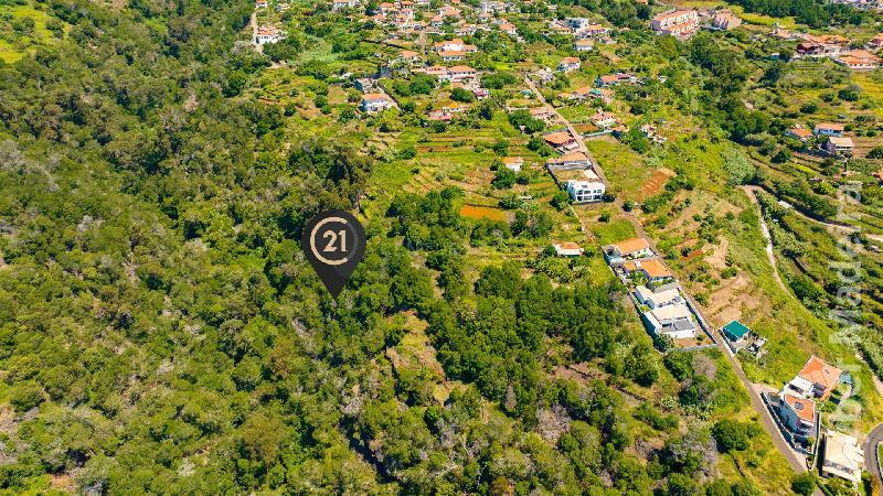 Terreno Outros para Venda Santa Cruz, Eira Nova