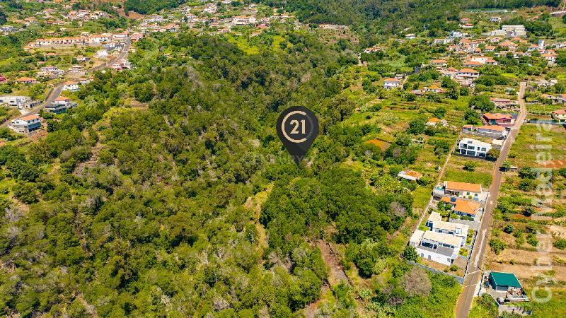 Terreno Outros para Venda Santa Cruz, Eira Nova