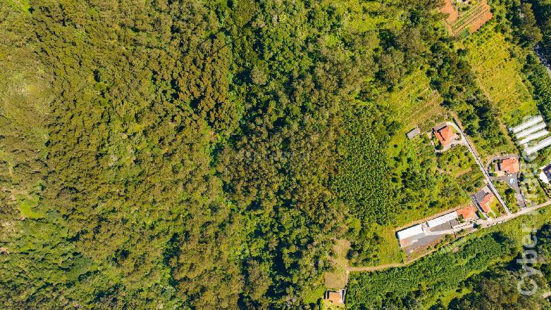 Terreno Outros para Venda Santa Cruz, Eiras Velhas