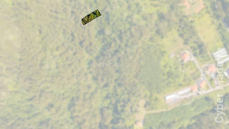 Terreno Outros para Venda Santa Cruz, Eiras Velhas