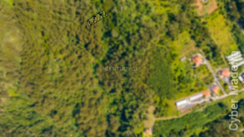 Terreno Outros para Venda Santa Cruz, Eiras Velhas