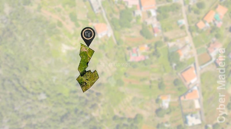 Terreno Outros para Venda Santa Cruz, Eiras Velhas