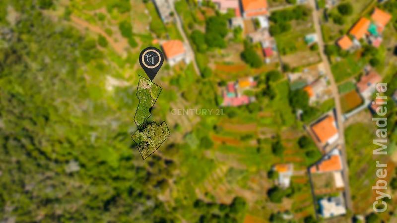 Terreno Outros para Venda Santa Cruz, Eiras Velhas