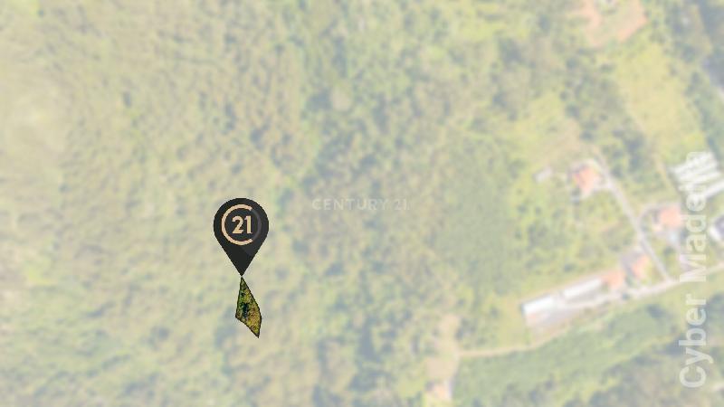 Terreno Outros para Venda Santa Cruz, Eiras Velhas