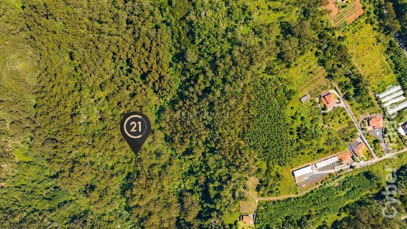 Terreno Outros para Venda Santa Cruz, Eiras Velhas