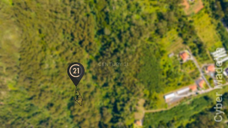 Terreno Outros para Venda Santa Cruz, Eiras Velhas