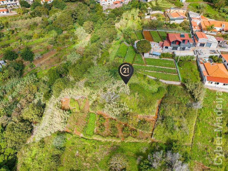 Terreno Outros para Venda Santa Cruz, Janeiro
