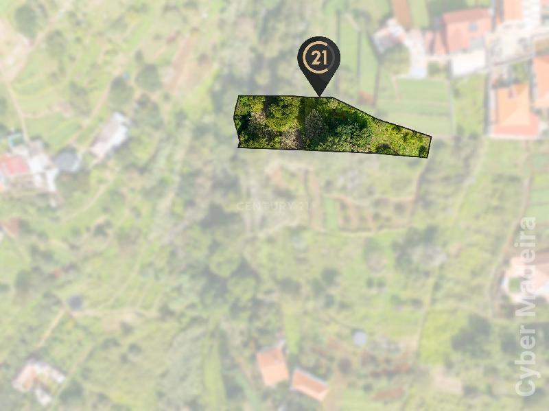 Terreno Outros para Venda Santa Cruz, Janeiro