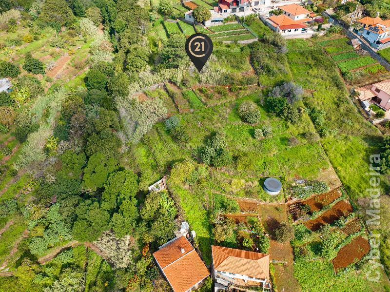 Terreno Outros para Venda Santa Cruz, Janeiro