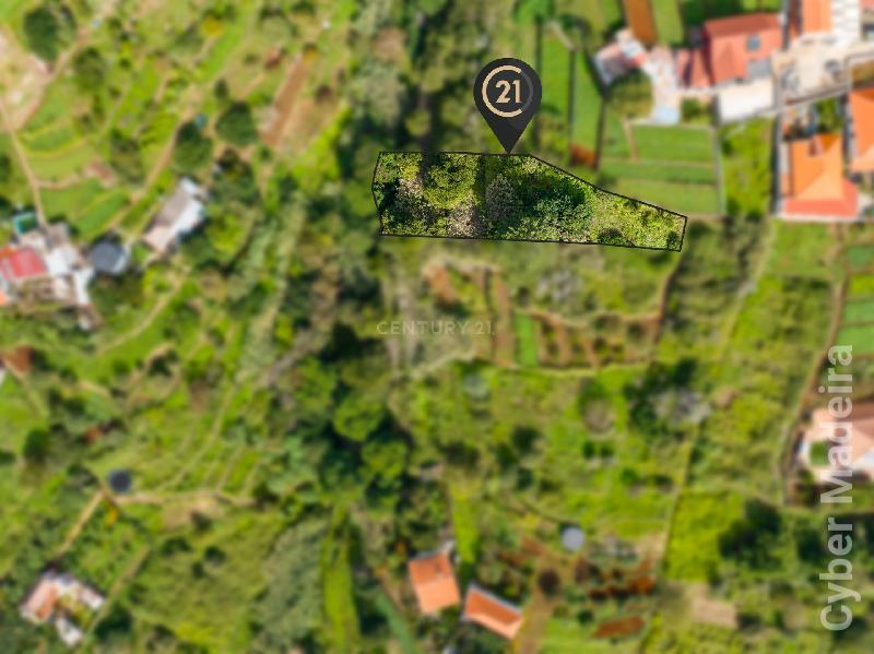 Terreno Outros para Venda Santa Cruz, Janeiro