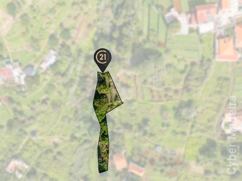 Terreno Outros para Venda Santa Cruz, Janeiro