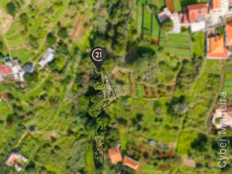 Terreno Outros para Venda Santa Cruz, Janeiro