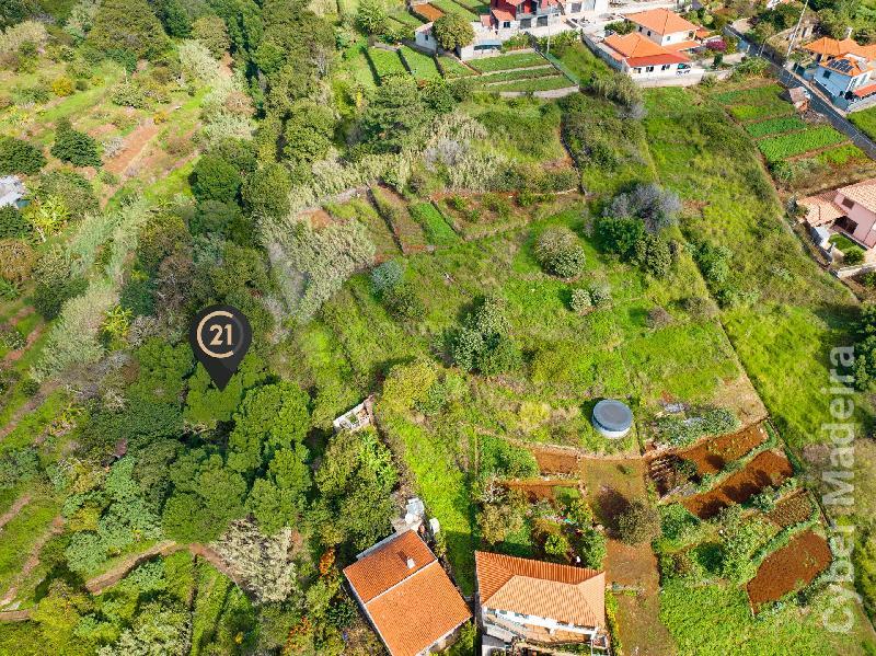 Terreno Outros para Venda Santa Cruz, Janeiro