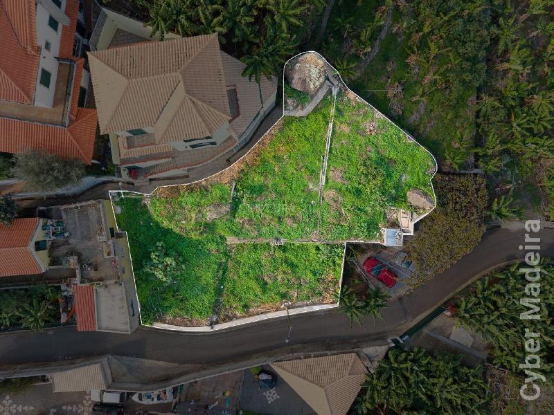 Terreno Outros para Venda Ponta do Sol, Jangão Lombada