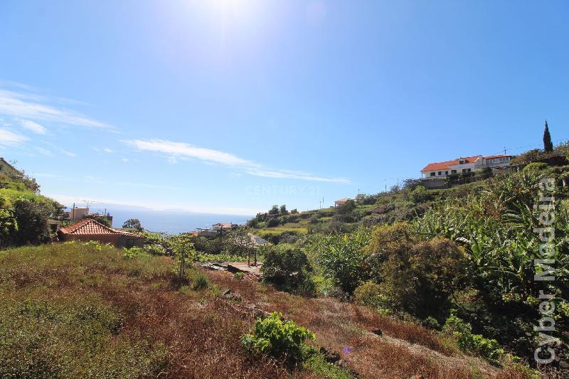 Terreno Outros para Venda Gaula, Furtados