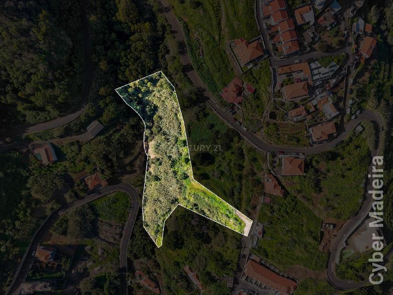 Terreno Outros para Venda Gaula, Lobas
