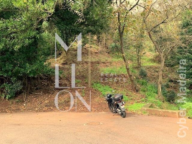 Terreno Outros para Venda Santa Maria Maior, Palheiro Ferreiro
