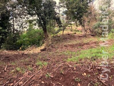 Terreno Outros para Venda Santa Maria Maior, Palheiro Ferreiro