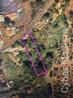 Terreno Outros para Venda Santa Maria Maior, Palheiro Ferreiro
