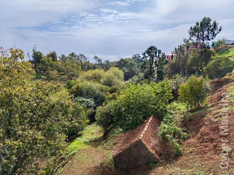 Terreno Outros para Venda Gaula, Pico Sul